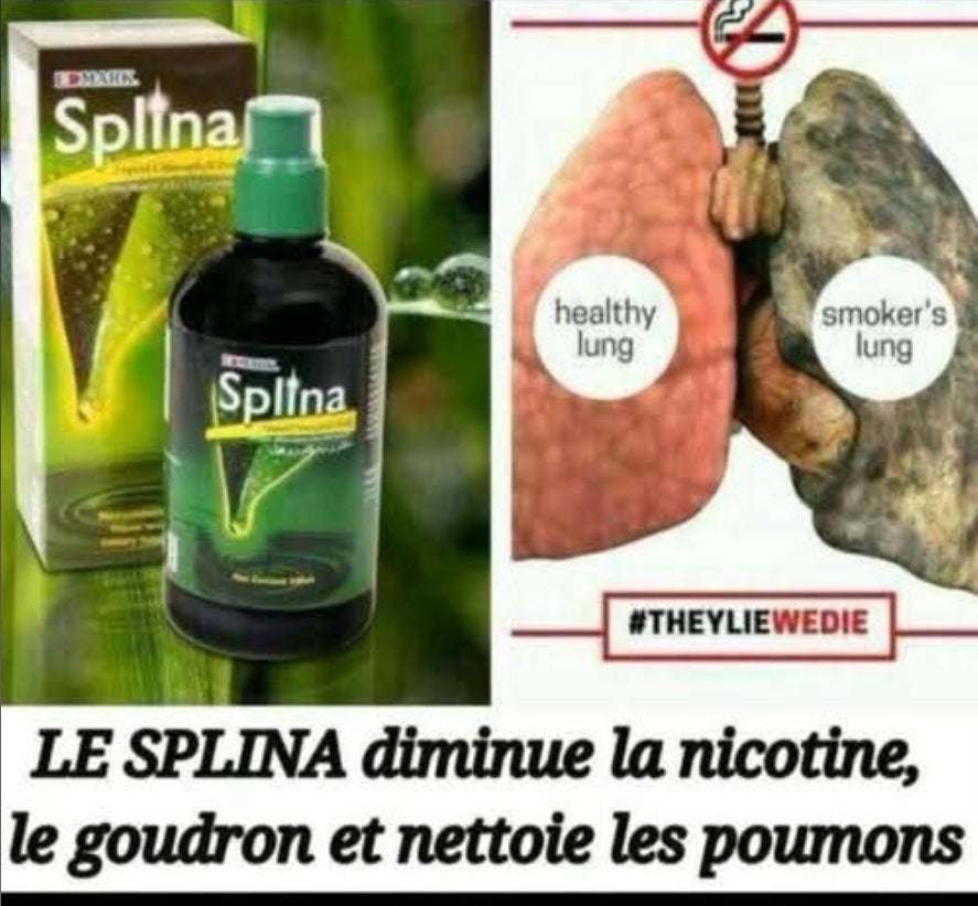 Splina liquide CHLOROPHYLLE
