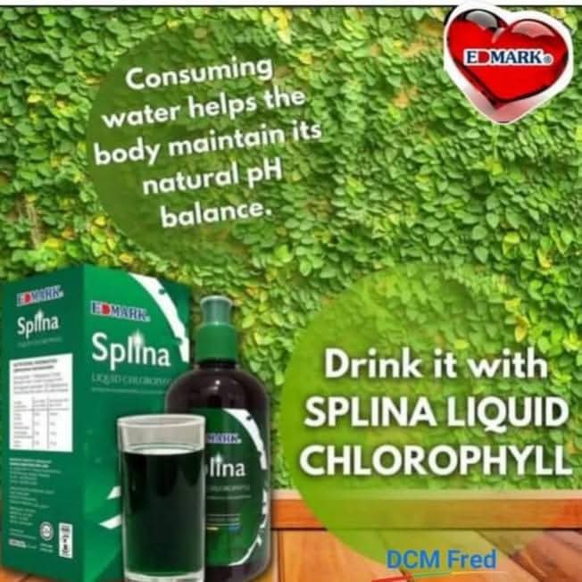 Splina liquide CHLOROPHYLLE